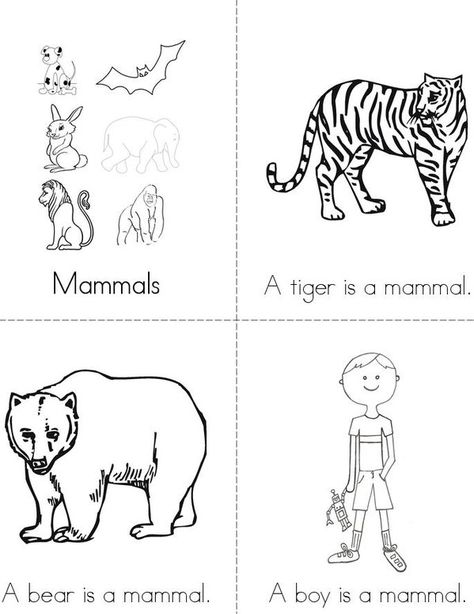 Mammals Mini Book - Sheet 1 Montessori Zoology, Mammals Activities, Fall Writing Activities, Montessori Science, Twisty Noodle, Fall Writing, Animal Classification, Science Reading, Beginning Readers