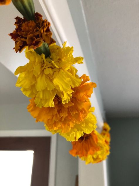 Marigold Garlands — Garden City Harvest Marigold Garland, Csa Farm, Seasonal Decor Fall, How To Make Garland, Garland Ideas, Seed Catalogs, Marigold Flower, Seed Saving, Organic Seeds