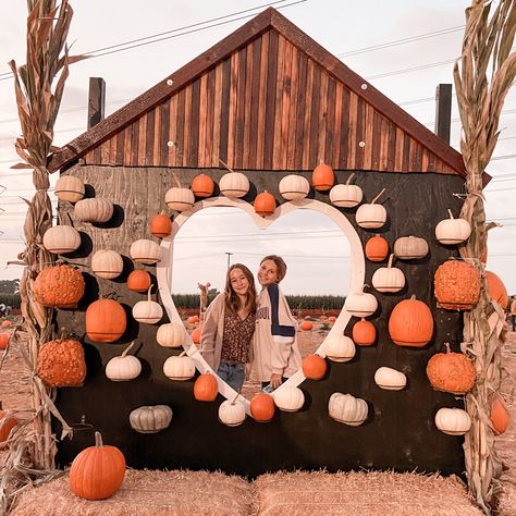 Pumpkin Patch Business, Pumpkin Patch Decoration, Indoor Halloween Decor Ideas, Porch Decor Halloween, Fall Photo Booth, Halloween Coffee Bar, Fall Festival Decorations, School Fall Festival, Pink Halloween Decor