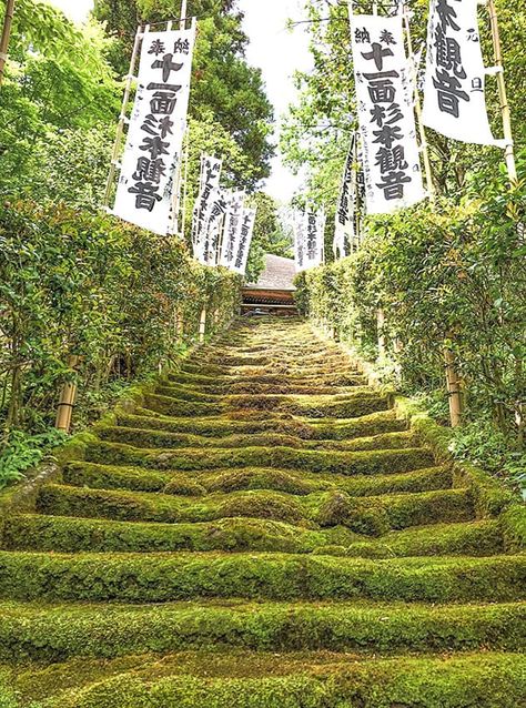 Japan off the beaten path with these 15 unique day trips from Tokyo! Spring Travel Destinations, Japan Honeymoon, Day Trips From Tokyo, Bali Lombok, Japan Destinations, Tokyo Japan Travel, Japanese Travel, Japan Itinerary, Japan Vacation