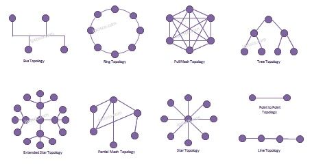 #Network #Topologies #CCNA Network Topology Diagram, Network Topology, Networking Basics, Cisco Networking, Data Structures, Learning Styles, Computer Network, Career Advice, Self Improvement Tips