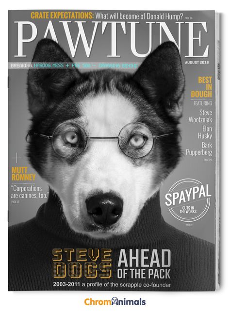 What Magazines Would Look Like If Dogs Ruled The World Unusual Halloween Costumes, Dog Photoshoot Pet Photography, Pet Magazine, Adoption Profile, Puppy Tips, Dog Magazine, Dog Cover, Halloween Costumes College Girls, Dog Photoshoot