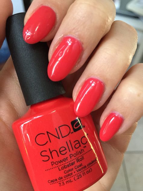 CND Shellac Lobster Roll + Brisa lite sculpting gel Christmas Nails Gel, Cnd Shellac Colors, Cnd Nail Polish, Cnd Shellac Nails, Shellac Colors, Opi Gel Nails, Cnd Nails, Gel Colors, Nail Dip