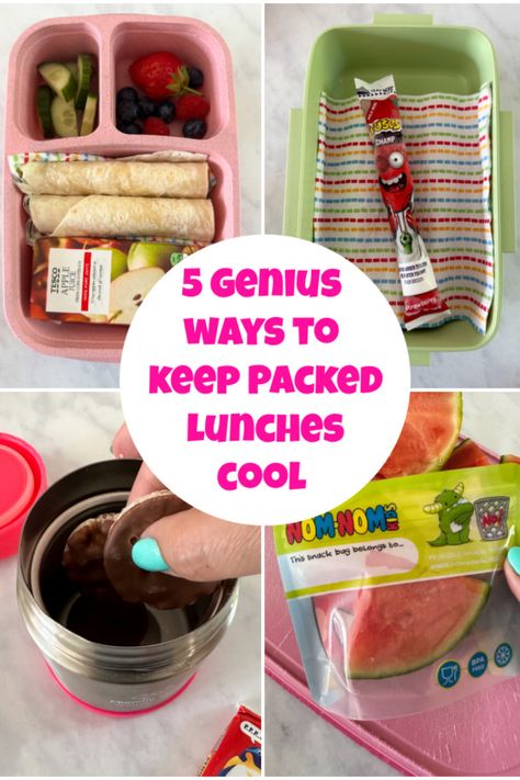 5 genius ways to keep packed lunches cool for school or nursery! Chargrilled Chicken, Frozen Juice, Frozen Watermelon, Packed Lunches, Cool Lunch Boxes, Packed Lunch, Ice Blocks, Fussy Eaters, Lunch Cooler