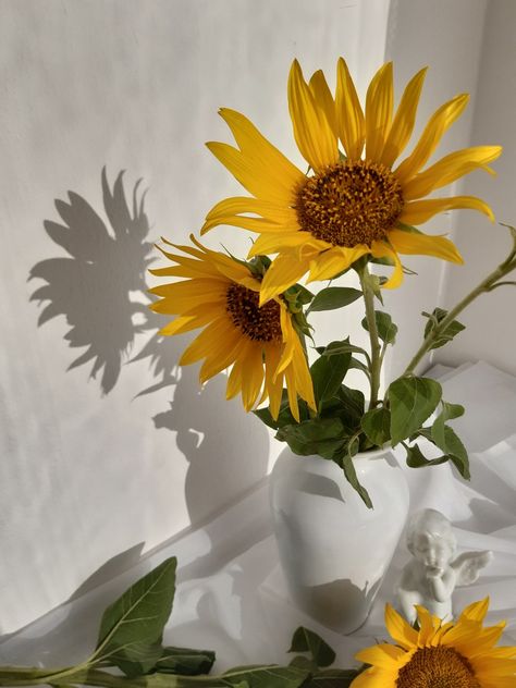 Potted Plant Reference Photo, Sunflower In Vase, Sunflowers In Vase, Eclectic Paintings, Sunflower Vase, Sunflower Photography, Still Life Pictures, Life Drawing Reference, Flower Pot Design