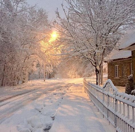 Live MTL on Instagram: “Snow on Mount Royal! / la neige sur le Mont Royal! 🙂❄️🌨 photo => @elenoire71 #mtl #montreal #livemontreal” Snow Pictures, Nature Architecture, Winter's Tale, Winter Love, Winter Magic, Winter Is Here, Winter Scenery, Winter Beauty, Snow Scenes