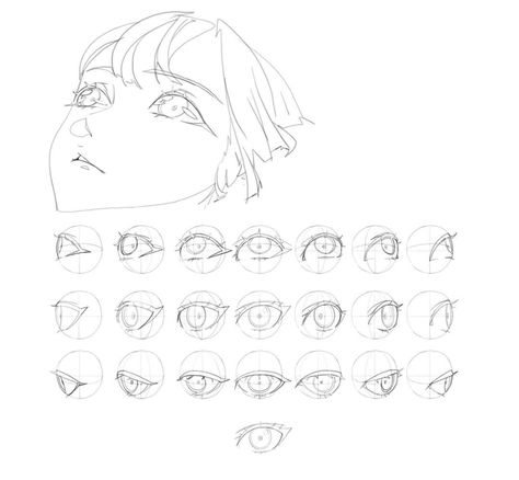 Eye Drawing Tutorials, Eyes Drawing, Body Drawing Tutorial, Human Anatomy Art, Anime Eye Drawing, Anatomy Drawing, Digital Painting Tutorials, Anime Drawings Tutorials, Anatomy Art