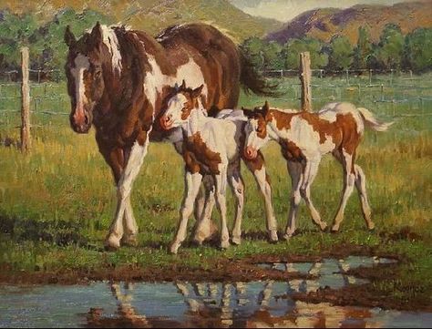 Horse And Foal, Jackson Hole Art, Horse Herd, Zoo Ideas, Jackson Wyoming, A Level Art Sketchbook, Horse Artwork, Jackson Hole Wyoming, Cowboy Art