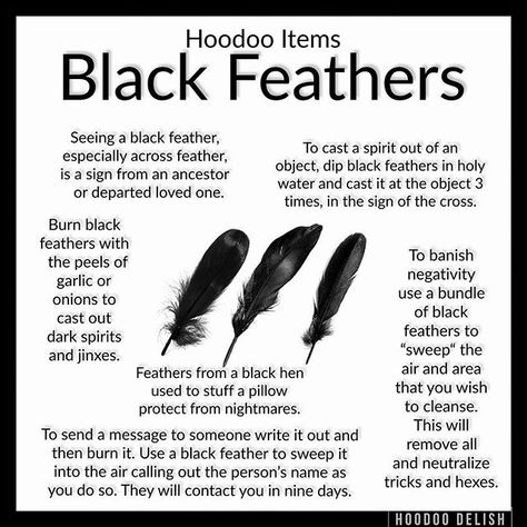 ~*~ HOODOO ITEMS: BLACK FEATHERS ~*~ I have been seeing so many beautiful black feathers lately!  These feathers off and indicate messages from our ancestors or other spirits.  Feathers in general correspond to communication and the spirit world black feathers in particular connect with the dead and the ancestors.  They are often used for cleansing and uncrossing and are extremely effective for protection.  #Hoodoo #hoodoodelish #rootwork #spells #magic #conjure #spellwork #feathers Black Feather Meaning, Hoodoo Conjure Rootwork, Feather Meaning, Hoodoo Magic, Hoodoo Conjure, Hoodoo Spells, Voodoo Hoodoo, Sign Of The Cross, Magick Spells