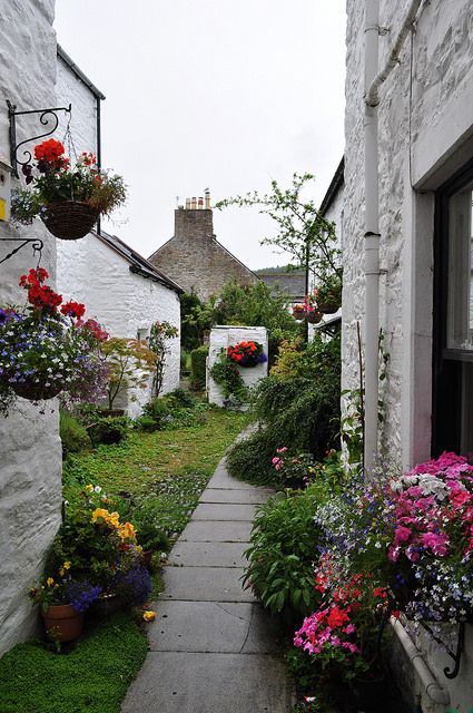 une venelle, Kirkcudbright, Dumfries and Galloway, Ecosse, Royaume-Uni. | Flickr - Photo Sharing! Galloway Scotland, Great Scot, Nature Hd, England And Scotland, Farm Gardens, British Isles, Love Affair, Garden Inspiration, Secret Garden