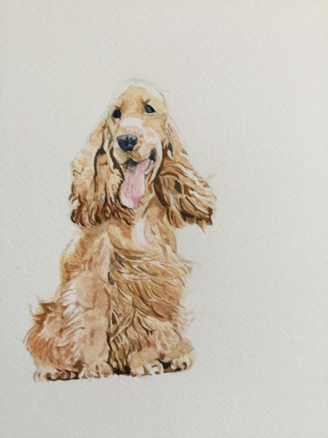 Spaniel Watercolour, Koker Spaniel, Painting Dogs, Dog Watercolor Painting, Dogs Images, Pawprint Tattoo, Rabbit Pictures, Dog Watercolor, Brittany Spaniel