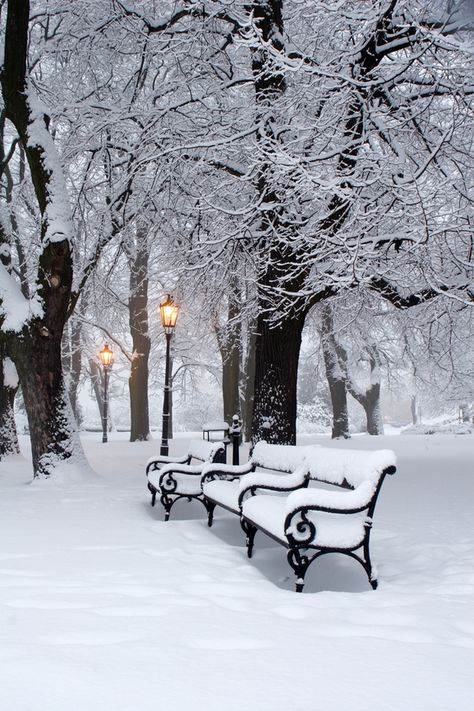 Do snow-covered park benches make you have winter nostalgia? Christmas Copenhagen, Park Benches, Beautiful Winter Scenes, A Snowy Day, Christmas Scenery, Winter Images, Winter Nature, Street Lights, Winter Photos