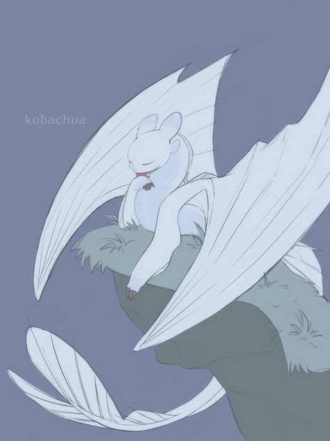 Light Fury Art, Light Fury Dragon, Night Fury Dragon, Httyd Art, Light Fury, Dreamworks Dragons, Dragon Sketch, Httyd Dragons, Dragon Rider