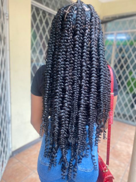 Passion Plait Braids, Passion Plaits, Plaits Hairstyles Black Women, Plaits Hairstyles Black, Plait Braids, Latest Braided Hairstyles, Job Goals, Plait Braid, Plaits Hairstyles