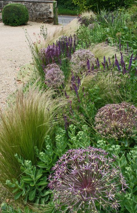 A simple, plant palette of Sedum, Salvias, Origanum, Erigeron and Stipa gigantea and provides year round structure, texture and colour. Photos courtesy of Sarah Price and Rachel Warne. Gravel Path, Gravel Garden, Landscape Edging, Grasses Garden, Have Inspiration, Garden Borders, Plants And Flowers, Gorgeous Gardens, Ornamental Grasses