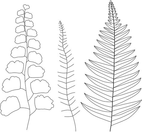 FREE Embroidery Pattern: Botanical Ferns - Wandering Threads Embroidery Botanical Embroidery Pattern Free, Free Printable Embroidery Patterns, Embroidery Templates Free Printable, Embroidery Patterns Free Printables, Printable Embroidery Patterns, Botanical Embroidery Pattern, Modern Embroidery Patterns, Modern Hand Embroidery Patterns, Modern Hand Embroidery