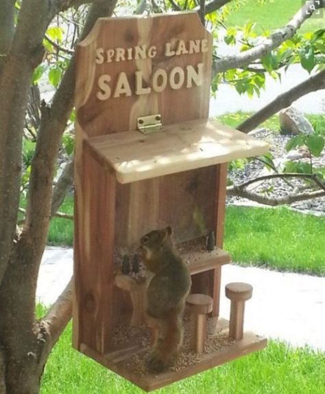 Squirrel Feeder Diy, Squirrel Home, Squirrel Feeders, Squirrel Pictures, Squirrel Feeder, Garden Birdhouses, Carpentry Projects, Diy Bird Feeder, Bird Houses Diy