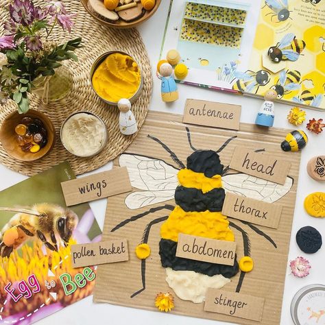 Learning About Bees Preschool, Bumblebee Activities For Preschool, Bee Activities Kindergarten, Toddler Bee Craft, Bee Kindergarten Activities, Bees Crafts For Kids, Bumble Bee Activities, Bee Activities For Toddlers, Bee Art Project