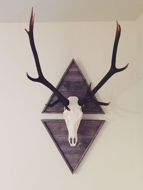 European mount #elk Elk Rack Mount, Elk Decor Ideas, Deer Skull Living Room, European Deer Mount Decor, Elk Skull Decor, Elk Mounts Ideas, Deer Skull Wall Decor, Elk Skull Mount, Elk European Mount Ideas