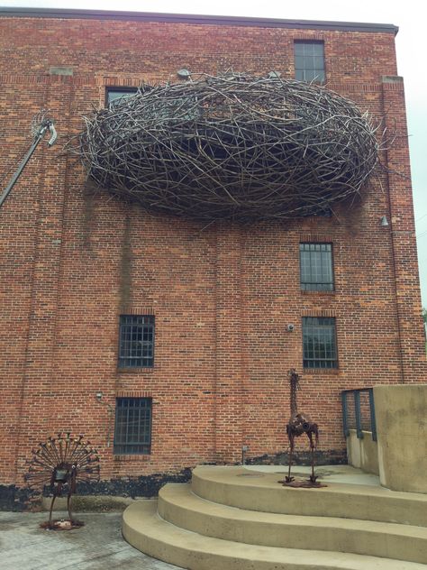 Giant metal bird nest Nest Architecture, Giant Nest, Bird Nest Architecture, Bird Nest Architecture Concept, Nest Sculpture, Nest Of Birds, Metal Bird Nest Sculpture, Nest Images, Nest Art