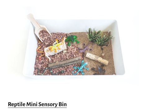 Colored Pasta, Wood Logs, Tree Frog, Sensory Bin, Colorful Trees, Play Space, Teach Kids, Tree Frogs, A Snake