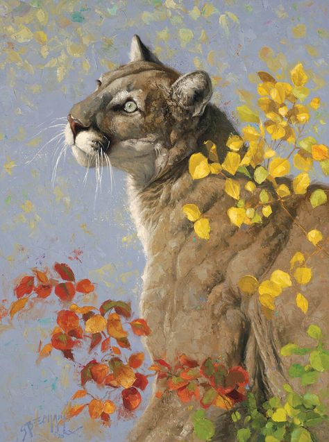 Big Cat Painting, Wildlife Artists Paintings, Classical Animal Paintings, Puma Painting, Greg Beecham Paintings, Cougar Art, Shadow Riders, Whitetail Deer Pictures, North American Wildlife