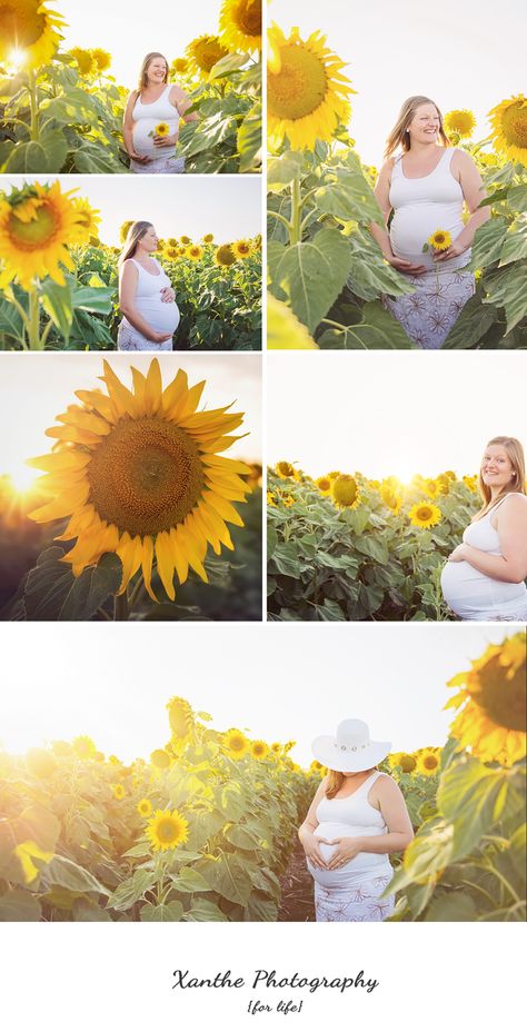 Xanthe Photography { for life }: My Pot of Gold- The Sunflowers- Brisbane Maternity Photographer #sunflowers #maternity Sunflower Maternity Pictures, Sunflower Pics, Fall Maternity Pictures, Pregnancy Images, Maternity Photography Poses Outdoors, Sunflower Photography, Fall Family Portraits, Maternity Photoshoot Outfits, Sunflower Photo