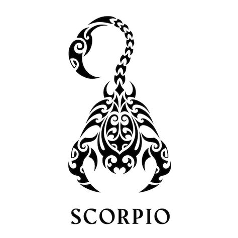 Scorpio Zodiac Tattoos, Lower Arm Tattoos, Scorpio Astrology, Zodiac Sign Scorpio, Scorpio Tattoo, Scorpion Tattoo, Zodiac Signs Scorpio, Zodiac Tattoos, Animal Symbolism