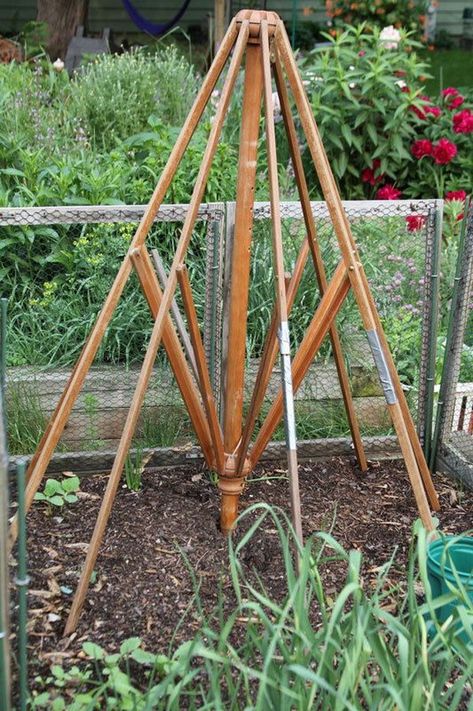 Veggie support trellis from old outdoor umbrella. Cucumber Trellis, Garden Vines, Recycled Garden, Table Umbrella, Mini Greenhouse, Have Inspiration, Table Frame, Unique Gardens, Community Gardening