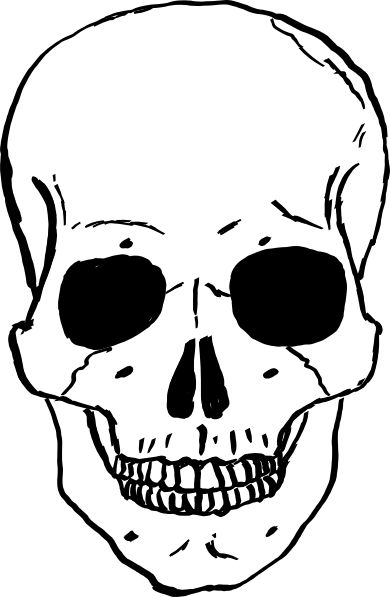 Human Skull Clip Art at Clker.com - vector clip art online ... Swivel Knife, Skull Template, Shirt Images, Skull Color, Skull Stencil, Skull Sketch, Skeleton Face, Head Games, Leather Patterns