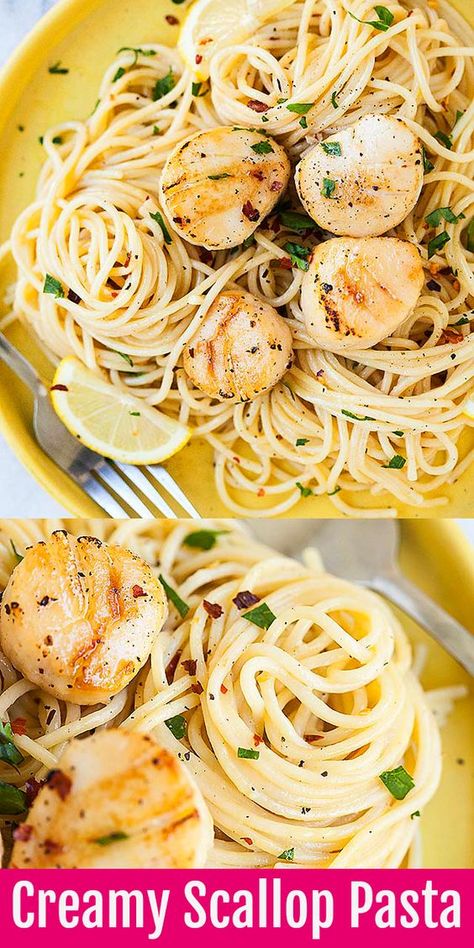 Creamy Scallop Pasta - restaurant-worthy creamy pasta recipe loaded with succulent scallops in white wine cream sauce. So easy and delicious!! Best Scallop Recipe, Bay Scallop Recipes, Scallop Recipes Pasta, Pasta Restaurant, Creamy White Wine Sauce, Scallop Pasta, Delicious Spaghetti, Pasta Restaurants, Pasta Cremosa