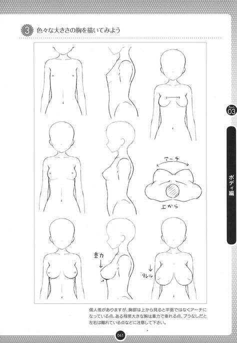 torso 1 Drawing Female Body, Manga Tutorial, Human Anatomy Drawing, Body Drawing Tutorial, Manga Drawing Tutorials, Human Drawing, Body Reference Drawing, Sketches Tutorial, Anatomy Drawing