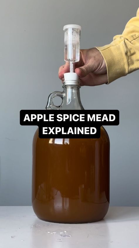 Golden Hive Mead | Apple spice mead explained #mead #meadmaking #homebrewing #brew #honeywine | Instagram Spiced Mead Recipe, Mead Wine Recipes, Mead Recipes, Recipe With Apple, Honey Mead, Mead Wine, Mead Recipe, Honey Wine, Apple Butter Recipe