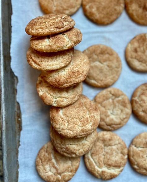 Something you never knew you needed. Sourdough Snickerdoodle Cookies. Yum! Sourdough discard compliments these cookies with just a little tang and a whole lot of cinnamon. ⁠ ⁠ Have you tried them yet? I think you're going to love them!⁠ ⁠ Grab the recipe on my website: https://amybakesbread.com/sourdough-snickerdoodle-cookies/ (link in profile) or comment "LINK" and I'll send you the recipe. Enjoy!⁠ ⁠ #sourdough #sourdoughdiscard #sourdoughcookies #sourdoughbaking #sourdoughstarter #sourdough... Cinnamon Sugar Sourdough, Snickerdoodle Cookies, Baking Items, Cinnamon Chips, Chocolate Crinkles, Cookie Dough Balls, Sourdough Discard, Sourdough Baking, Crinkle Cookies