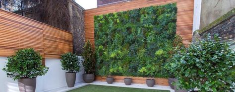 Vistafolia is one of the most sought after outdoor plant wall suppliers in the UK. The company has carved a distinct niche in the industry for its high quality products and competitive prices. It is the result of their tireless efforts that the organisation now stands at the forefront of the artificial greenery industry. Artificial Green Wall, Vertical Garden Design, Artificial Plant Wall, نباتات منزلية, Vertical Garden Wall, Modern Garden Design, Outdoor Gardens Design, Backyard Garden Design, Fire Retardant