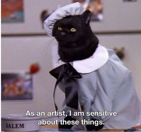 Salem Saberhagen, Cassandra Calin, Salem Cat, Hard Rock Hotel, 귀여운 동물, Movie Quotes, Reaction Pictures, Mood Pics, Cat Memes