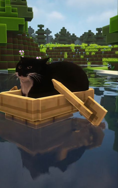 Cat Minecraft, Minecraft Meme, Minecraft Images, All Minecraft, Minecraft Wallpaper, Minecraft Birthday Party, Minecraft Funny, Minecraft Memes, Minecraft Creations