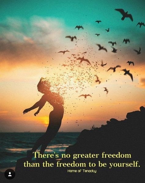 "There's No Greater Freedom Than The Freedom To Be Yourself." Daily Thoughts, Wattpad Covers, The Freedom, Incredible India, Be Yourself, Zen, Inspirational Quotes, The Incredibles, India