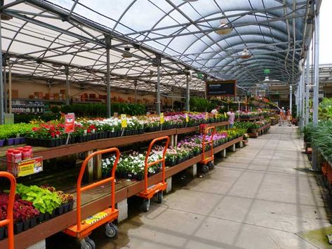 A gardening center at Home Depot Home Depot Garden Center, Home Greenhouse, Backyard Vegetable Gardens, Best Perennials, Garden Nursery, Greenhouse Gardening, Vegetable Garden Design, Garden Pictures, Gardening Supplies