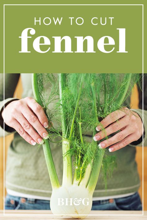 Baked Fennel, Fennel Recipe, Mushroom Dishes, Vegetable Salads, Celery Salad, Fennel Recipes, Winter Vegetable, Roasted Fennel, Fennel Salad