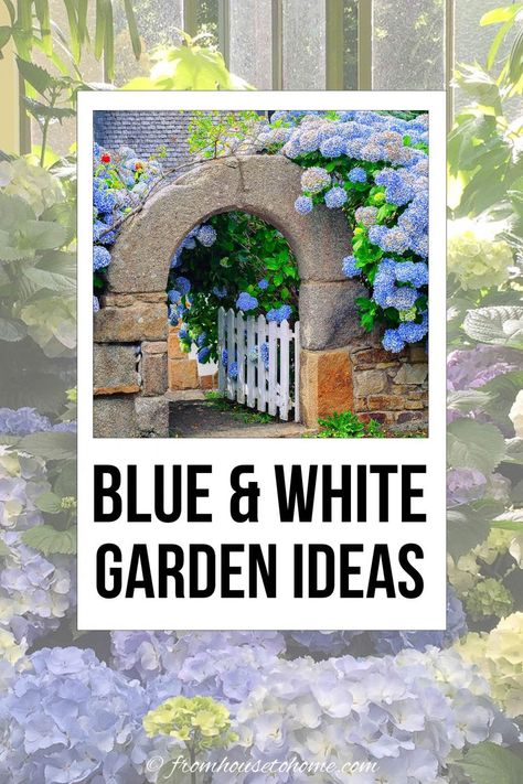 These blue and white garden design ideas are gorgeous! I really love the blue and white ginger jars used as garden decor in the yard. This is one of my favorite flower garden color schemes! #fromhousetohome #gardening #gardenideas #blueandwhitegarden #gardendesign #gardeningideas Blue And White Garden Ideas, White Garden Ideas, White Garden Design, Garden Slope, Blue And White Garden, Blue And White Ginger Jars, Dreamy Garden, Clematis Vine, Vegetable Garden For Beginners