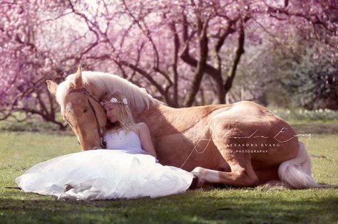 Quince Picture Ideas, Quinceañera Photoshoot Ideas, Quince Photoshoot Ideas, Horse Photoshoot Ideas, Quince Pictures, Country Wedding Pictures, Quinceanera Pictures, Horse Photography Poses, Quinceanera Photoshoot