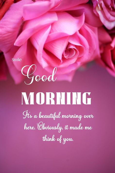 Good Morning Flower images for WhatsApp 𝐆𝐨𝐨𝐝 𝐌𝐨𝐫𝐧𝐢𝐧𝐠 𝐖𝐢𝐬𝐡𝐞𝐬 #goodmorningmessages Good Morning Thinking Of You Quotes, Good Morning Darling, Good Morning For Her, Whatsapp Good Morning, Darling Quotes, Sweetheart Quotes, Special Good Morning, Thinking Of You Quotes, Morning Sweetheart