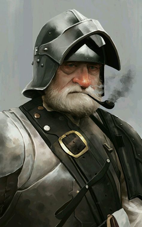 Guard captain Fantasy Guard Captain, Knight Portrait, Captain Of The Guard, Guard Captain, Knight Warrior, Sea Hawk, Old Warrior, Armadura Medieval, Fantasy Portraits