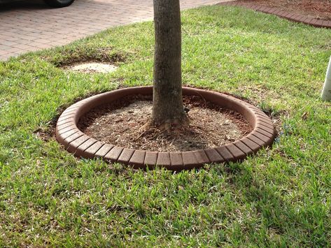 Perfect circle, tree ring. Brick stamp. Square Tree Edging, Tree Circle Landscape, Tree Ring Landscape, Brick Tree Ring, Diy Tree Rings, Landscape Timber Edging, Garden Edging Ideas Cheap, Landscaping Around Trees, Landscaping Trees