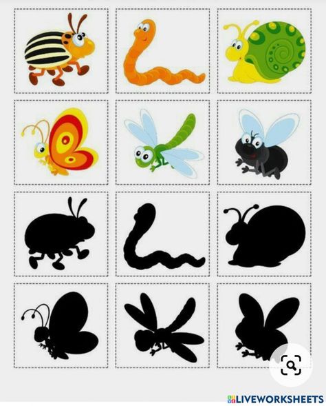 Shape Worksheets For Preschool, Early Childhood Education Activities, Bugs Preschool, Transportation Preschool, Preschool Tracing, Spring Preschool, Educational Games For Kids, Toddler Learning Activities, Preschool Learning Activities