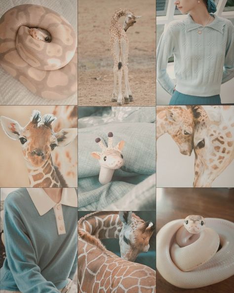 Soft pastel blue creme white snake furry fursone moodboard giraffe anthro cute Snake Moodboard Aesthetic, Snake Moodboard, F2u Moodboards, Creme White, Moodboard Inspo, Adopt Idea, Moodboard Ideas, White Snake, Board Inspiration