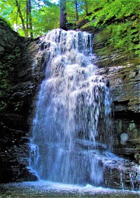 Bushkill Falls, Pennsylvania, USA Bushkill Falls, Pennsylvania, Quick Saves