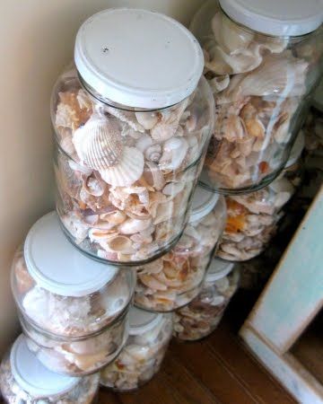 Simple glass jars for displaying your collections Displaying Shells, Chimney Cupboard, Beach Jar, Display Shells, Seashell Display, Shell Display, Shells And Sand, Seashell Projects, Southern Life