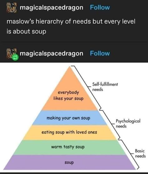 Maslows Hierarchy Of Needs, Hierarchy Of Needs, Maslow's Hierarchy Of Needs, Basic Needs, Comics Memes, Funniest Memes, Eating Well, Reaction Pictures, I Laughed